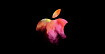 Зачем Apple RISC-V?
