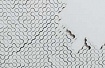 Взлетит или нет — две разные точки зрения на Web3