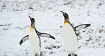 Что нового в ядре Linux