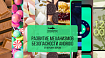 Развитие механизмов безопасности Android (от версии к версии)