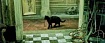 PostgreSQL Antipatterns: «где-то я тебя уже видел...»