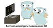 Где изучать Golang в 2024