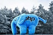 PHP Дайджест № 196 (1 – 11 января 2021)