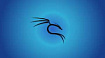 Приручение черного дракона. Этичный хакинг с Kali Linux. Часть 5. Способы получения доступа к системе с Metasploit