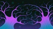 Вероятно, мозг не только обрабатывает сенсорные данные, но и прогнозирует их