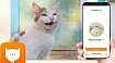 Абсолютный обман. Фейковые приложения для Android и iOS — почему в них верят