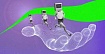 Лучшие в Kaggle: что такое соревновательный дата-сайенс и как достичь в нем успеха