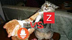 Zabbix vs Prometheus. Что выбрать для гетерогенной инфраструктуры?