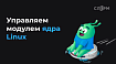 Управляем модулем ядра Linux