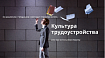 Культура трудоустройства