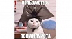 Коротко и, надеюсь, ясно: 8 сервисов для управления знаниями