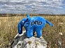 PHP Дайджест № 211 (1 – 13 сентября 2021)