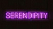 Серендипность тебя найдет