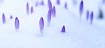 Вышел релиз GitLab 13.10 с улучшениями для администраторов и управлением уязвимостями