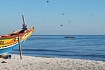 Проанализировать потоки трафика — поможет PiRogue
