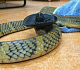 Python.org рекомендует: Программирование для НЕпрограммистов