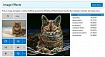 Представляем галерею примеров машинного обучения Windows (Windows ML Samples Gallery)