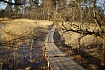 Хельсинки: город счастья и уюта
