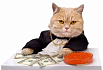 Финансы для PMa в пресейле: как быстро посчитать бюджет и Cash Flow в MS Project