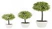 Классификатор методом BallTree поиска k-ближайших соседей на Python