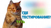 Как можно тестировать платформенные сервисы