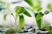 Вышел релиз GitLab 13.11 с агентом для Kubernetes и настройкой конвейера для проверки соответствия требованиям