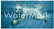 Таксономия методов watermarking нейронных сетей. Статические алгоритмы