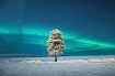Что такое свидетельство?