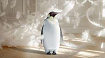 Why so heavy, Windows? Новая версия ОС Tine Core Linux «весит» всего 24 Мб. Что это за дистрибутив