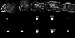 SAUNet: Shape Attentive U-Net for Interpretable Medical Image Segmentation