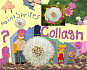 Пишем javascript модуль wysiwyg редактор изображений Collage_n