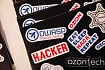 OWASP Moscow 2020/1 записи докладов