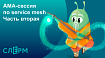 АМА-сессия Слёрма по service mesh. Часть 2