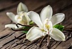 Vanilla All the Way. Ванильное облачное решение на K8s