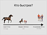Почему человек стал человеком? Из-за мозга или ягодичной мышцы?