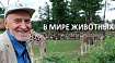 Заповедник российского фриланса