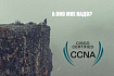 На краю CCNA 200-301