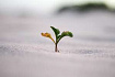 Growth hacking: быстро, дешево, сердито