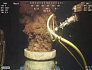 Лейквью — крупнейший фонтан нефти в истории