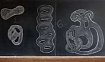 Занимательные задачки: Филдсовская медаль для начинающих