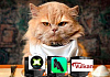 Работа с графикой на языке Rust