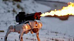 Throwflame запустила продажи продукта Thermonator — робособаки со встроенным огнеметом