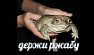 It is Wednesday, my java dudes, или насколько сложно сделать свою JVM