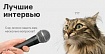 Тридцать топовых интервью за последнее время: разработка, дизайн, научпоп и лайфстайл