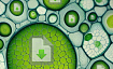 LibreOffice под микроскопом: создаём одноклеточное расширение