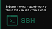 Буферы и окна: подробности о тайне ssh и цикла чтения while