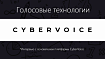 Голосовые технологии ~ Беседуем с основателем платформы CyberVoice