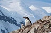 Linux Backup от Veeam на ОС «Эльбрус». Импортозамещение ['?' | '.' | '!']
