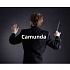 Управление распределенными транзакциями с помощью Camunda