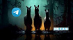 ИИ LLama3 без ограничений: Локальный запуск, GROQ и интеграция в Телеграм бота с помощью Python